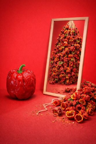 Getrocknete Antep-Paprika (scharf) 1 Bağ (45/50 Stück)