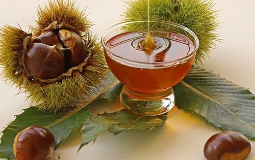 Kestane Balı 450 gr