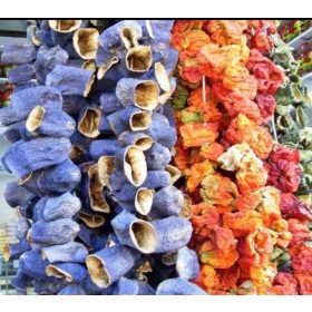 Getrocknete Antep-Auberginen gefüllt 45/50 Stück